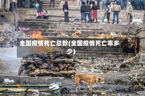 全国疫情死亡总数(全国疫情死亡率多少)