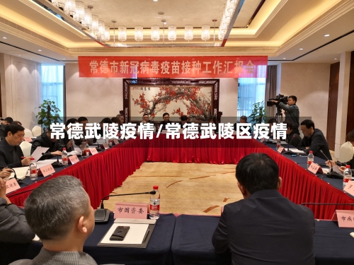 常德武陵疫情/常德武陵区疫情-第2张图片