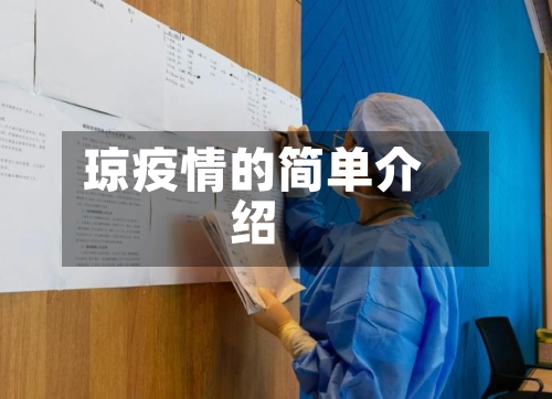 琼疫情的简单介绍