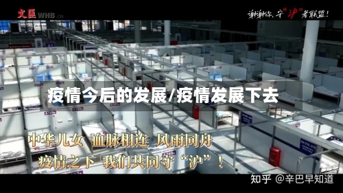 疫情今后的发展/疫情发展下去