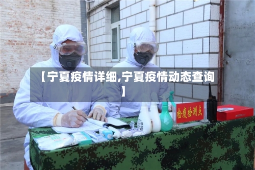 【宁夏疫情详细,宁夏疫情动态查询】-第3张图片