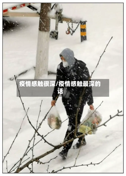 疫情感触很深/疫情感触最深的话-第2张图片