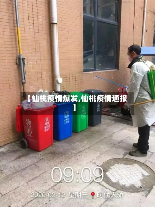 【仙桃疫情爆发,仙桃疫情通报】-第3张图片