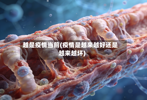 越是疫情当前(疫情是越来越好还是越来越坏)