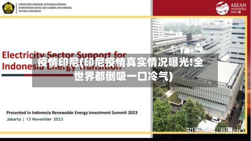 疫情印尼(印尼疫情真实情况曝光!全世界都倒吸一口冷气)-第2张图片