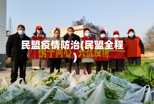 民盟疫情防治(民盟全程)-第2张图片