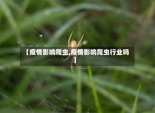 【疫情影响爬虫,疫情影响爬虫行业吗】-第2张图片