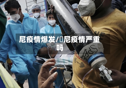 尼疫情爆发/卬尼疫情严重吗-第2张图片
