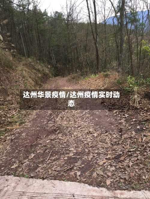 达州华景疫情/达州疫情实时动态-第2张图片