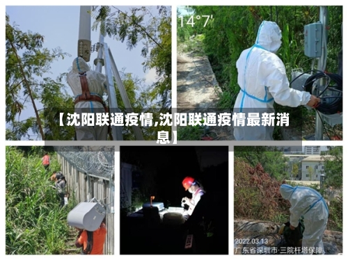 【沈阳联通疫情,沈阳联通疫情最新消息】-第2张图片