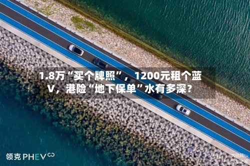 1.8万“买个牌照	”，1200元租个蓝V，港险“地下保单”水有多深？-第3张图片