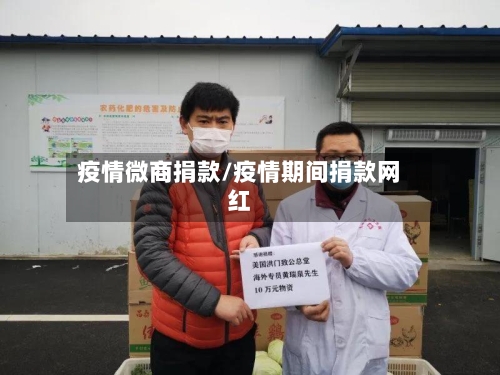 疫情微商捐款/疫情期间捐款网红