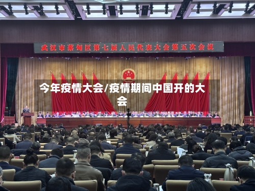 今年疫情大会/疫情期间中国开的大会-第3张图片