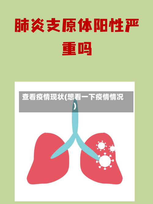 查看疫情现状(想看一下疫情情况)