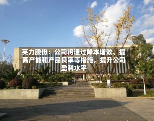 英力股份：公司将通过降本增效、提高产能和产品良率等措施，提升公司盈利水平