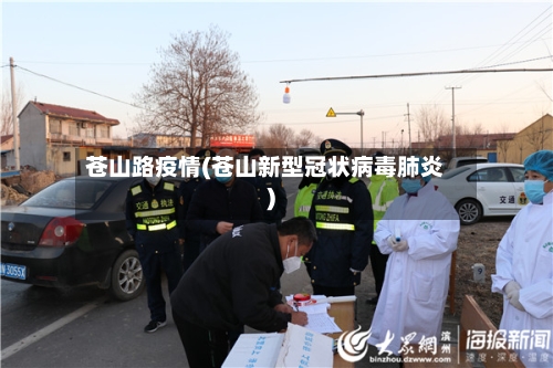 苍山路疫情(苍山新型冠状病毒肺炎)-第3张图片