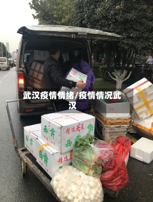武汉疫情情绪/疫情情况武汉
