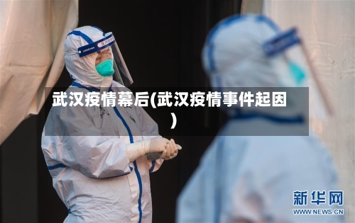 武汉疫情幕后(武汉疫情事件起因)