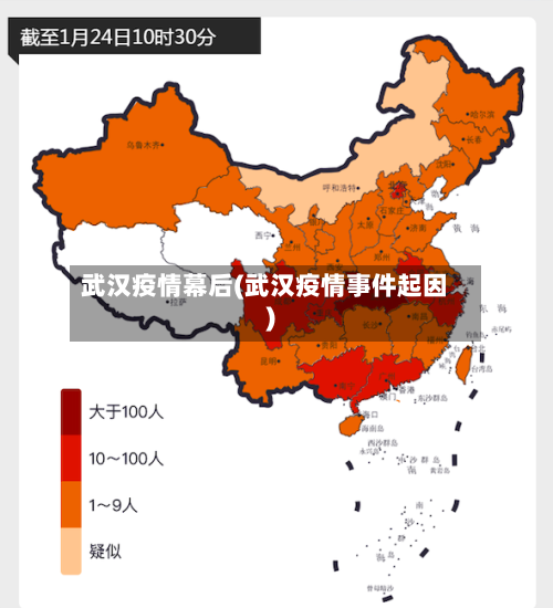 武汉疫情幕后(武汉疫情事件起因)-第2张图片