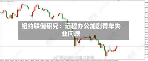 纽约联储研究：远程办公加剧青年失业问题-第2张图片