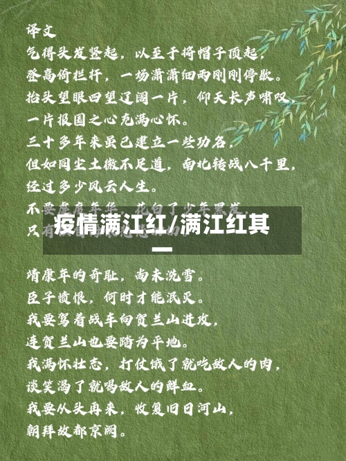 疫情满江红/满江红其一