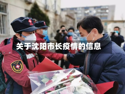 关于沈阳市长疫情的信息