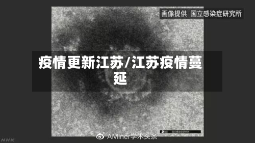 疫情更新江苏/江苏疫情蔓延-第2张图片