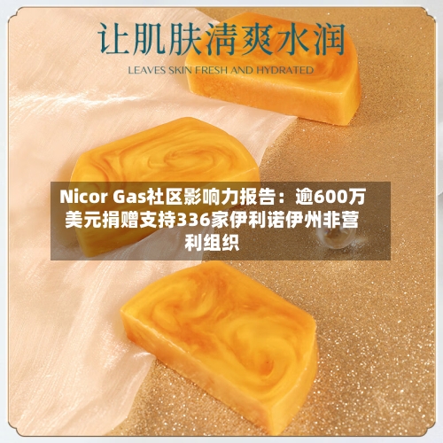 Nicor Gas社区影响力报告:逾600万美元捐赠支持336家伊利诺伊州非营利组织-第2张图片