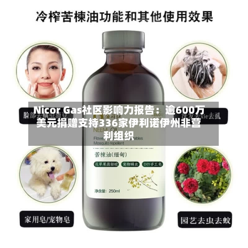 Nicor Gas社区影响力报告:逾600万美元捐赠支持336家伊利诺伊州非营利组织-第3张图片