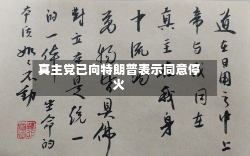真主党已向特朗普表示同意停火-第2张图片