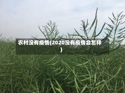 农村没有疫情(2020没有疫情会怎样)-第2张图片