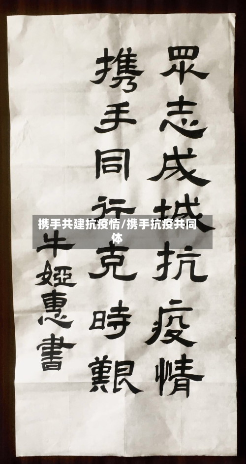 携手共建抗疫情/携手抗疫共同体