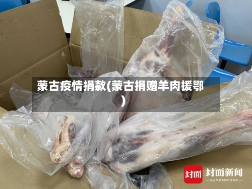 蒙古疫情捐款(蒙古捐赠羊肉援鄂)-第2张图片