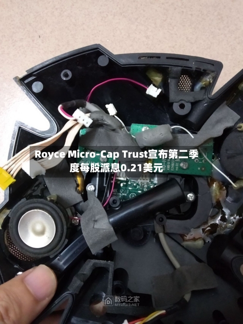 Royce Micro-Cap Trust宣布第二季度每股派息0.21美元-第3张图片