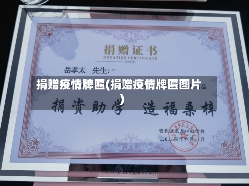 捐赠疫情牌匾(捐赠疫情牌匾图片)-第3张图片