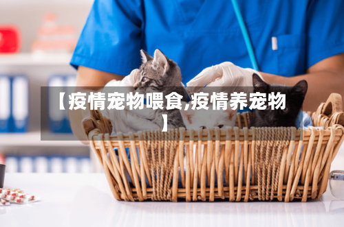 【疫情宠物喂食,疫情养宠物】
