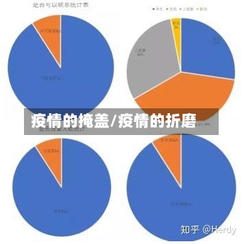 疫情的掩盖/疫情的折磨