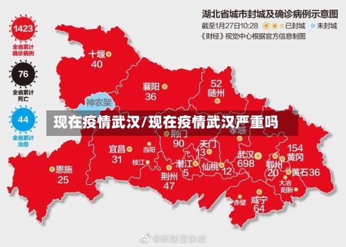 现在疫情武汉/现在疫情武汉严重吗-第2张图片