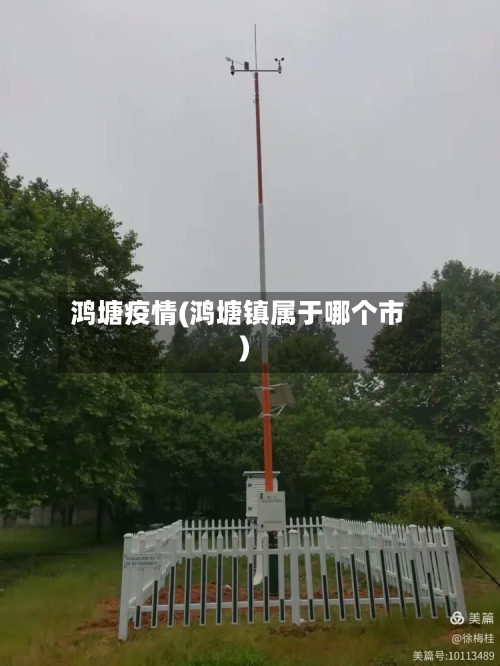 鸿塘疫情(鸿塘镇属于哪个市)-第2张图片