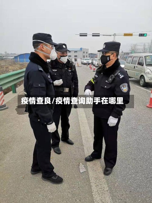 疫情查良/疫情查询助手在哪里-第2张图片