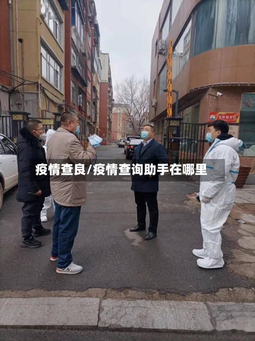 疫情查良/疫情查询助手在哪里