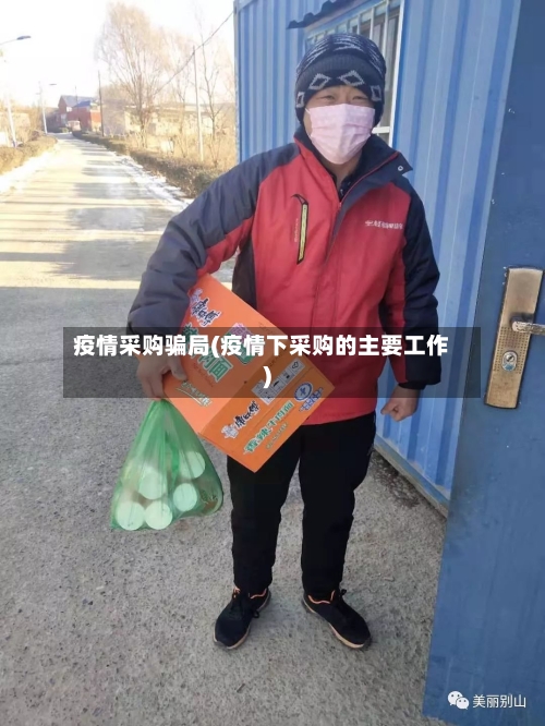 疫情采购骗局(疫情下采购的主要工作)-第3张图片
