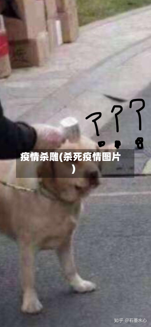 疫情杀雕(杀死疫情图片)