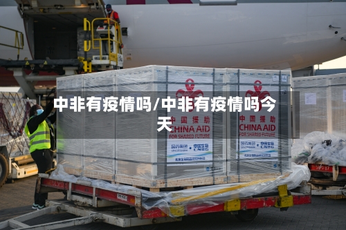 中非有疫情吗/中非有疫情吗今天-第3张图片