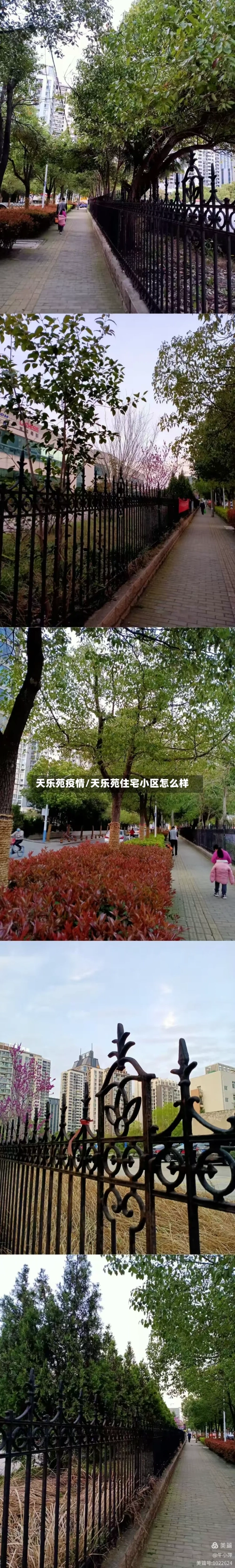 天乐苑疫情/天乐苑住宅小区怎么样-第2张图片