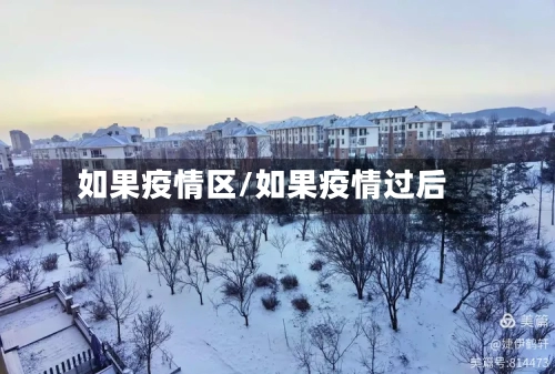 如果疫情区/如果疫情过后-第2张图片