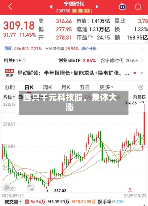 四只千元科技股，集体大涨-第3张图片