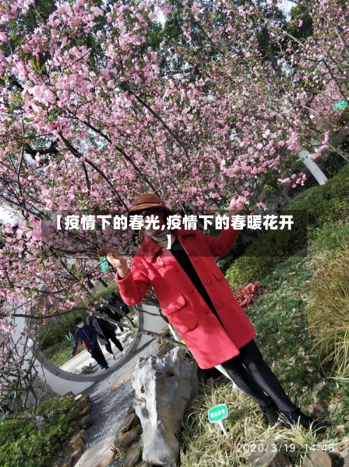 【疫情下的春光,疫情下的春暖花开】-第2张图片