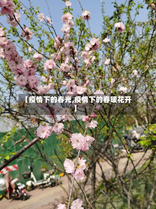 【疫情下的春光,疫情下的春暖花开】-第3张图片