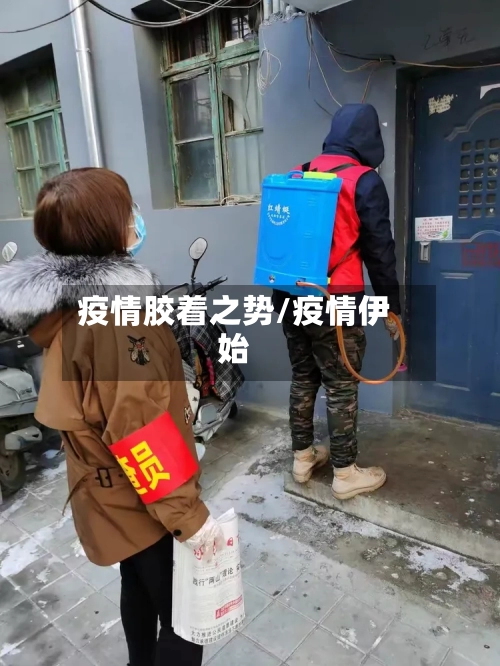 疫情胶着之势/疫情伊始